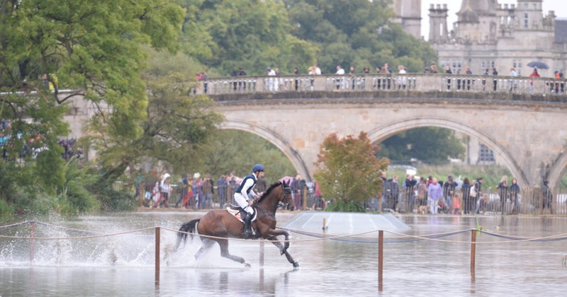 Burghley Horse